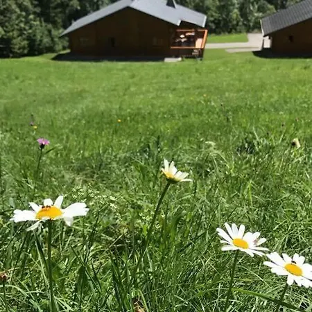 Chalet Family-friendly Self-catering In - Sleeps 12 Portes Du Soleil *